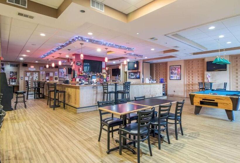 酒店 Comfort Inn & Suites