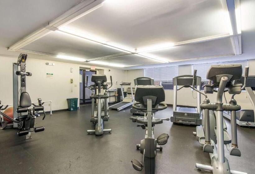 酒店 Comfort Inn & Suites