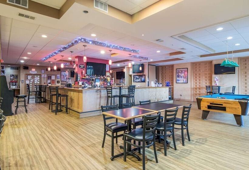 酒店 Comfort Inn & Suites