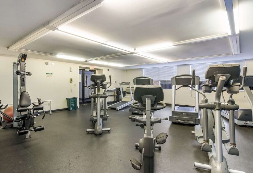 酒店 Comfort Inn & Suites