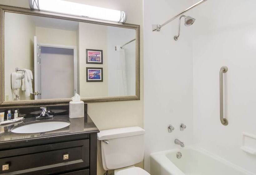 酒店 Comfort Inn & Suites