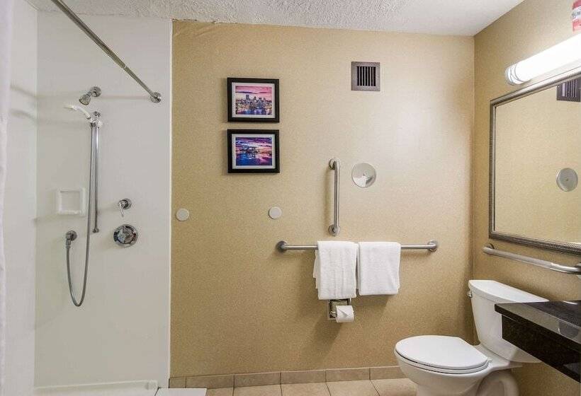 酒店 Comfort Inn & Suites