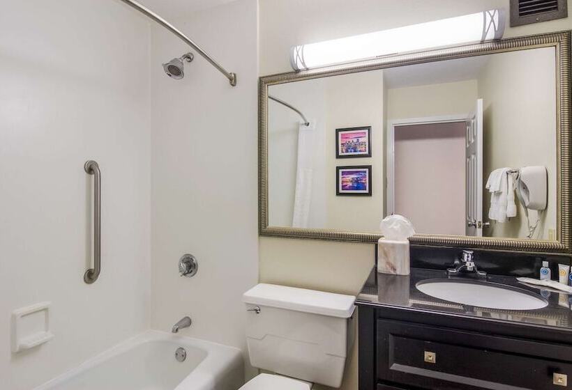 酒店 Comfort Inn & Suites