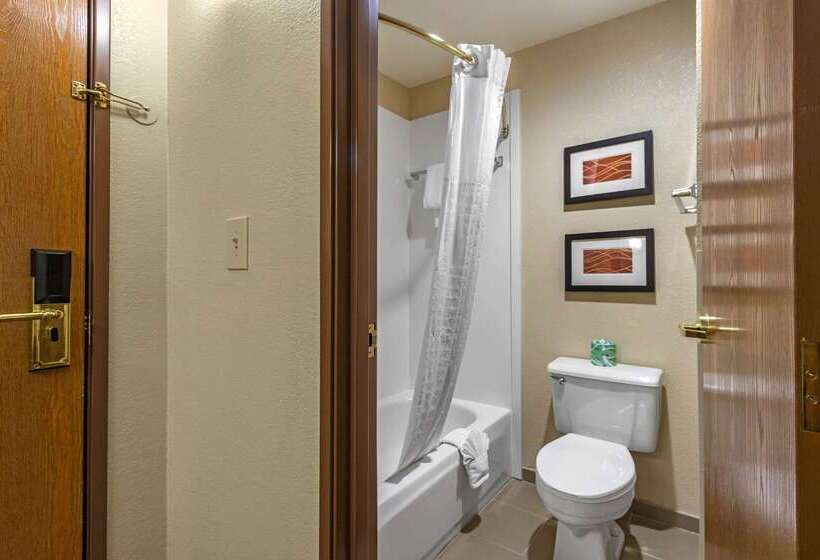 فندق Comfort Inn & Suites Springfield I 44