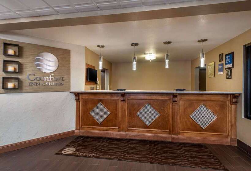 فندق Comfort Inn & Suites Springfield I 44