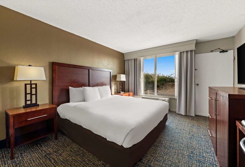 فندق Comfort Inn On The Ocean