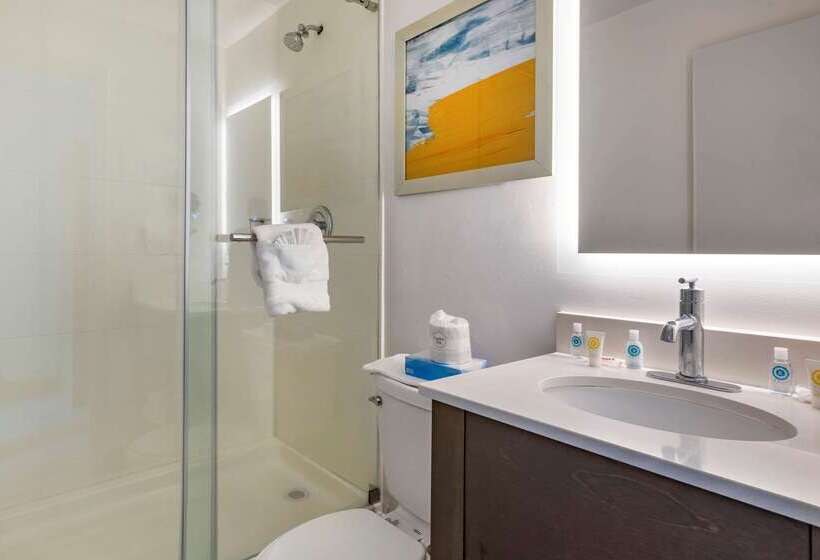 فندق Comfort Inn Philadelphia International Airport West