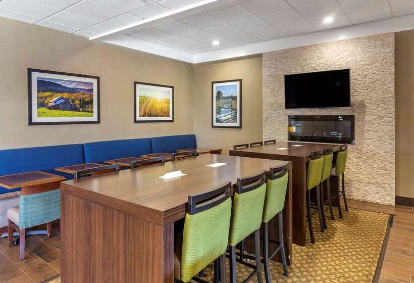 فندق Comfort Inn & Suites Near Danville Mall