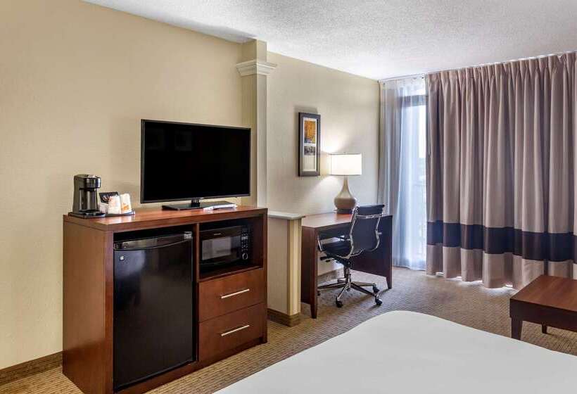فندق Comfort Inn & Suites Near Danville Mall