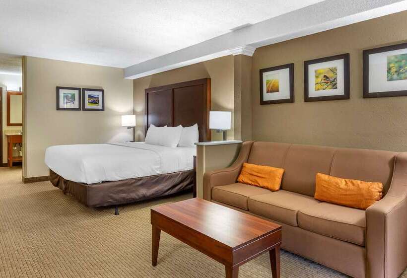 Отель Comfort Inn & Suites Near Danville Mall