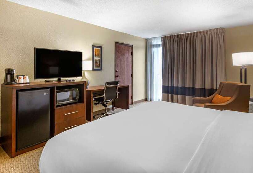 酒店 Comfort Inn & Suites Near Danville Mall