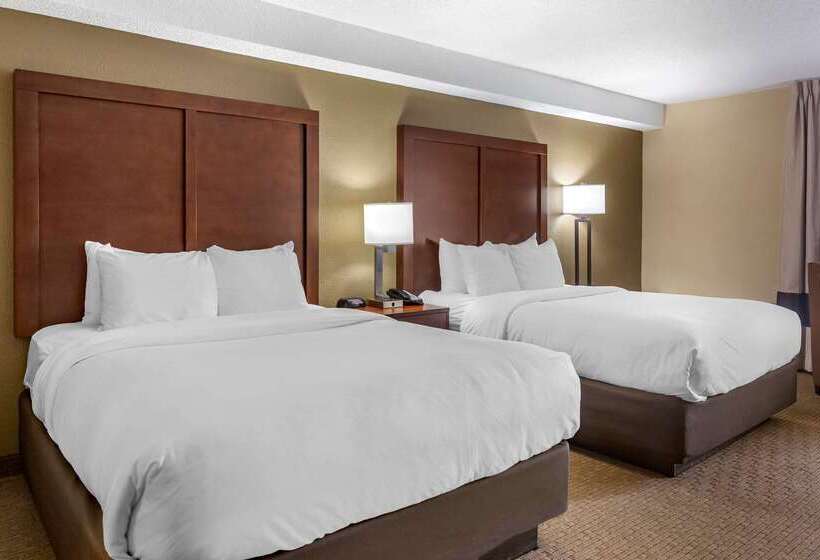 فندق Comfort Inn & Suites Near Danville Mall