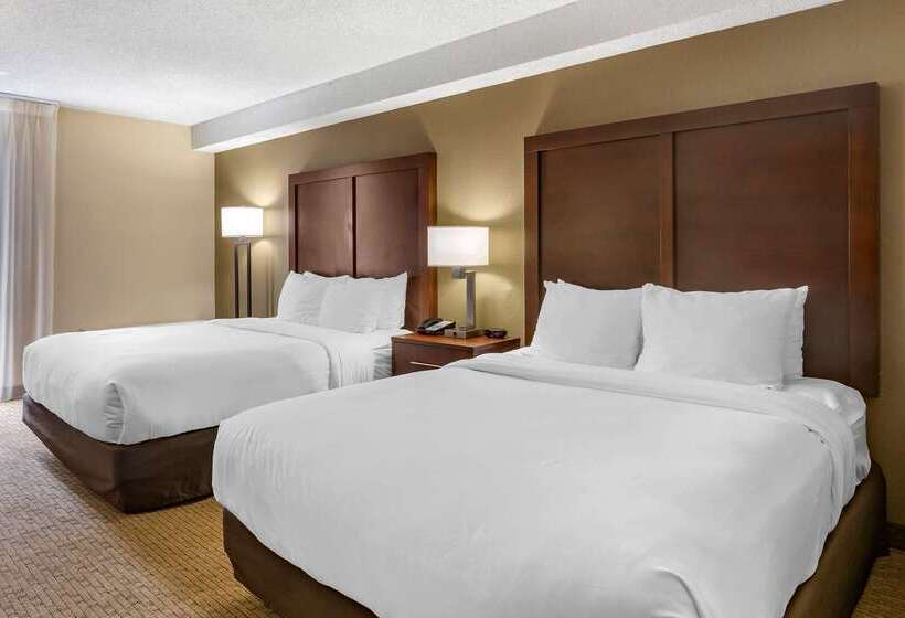 فندق Comfort Inn & Suites Near Danville Mall