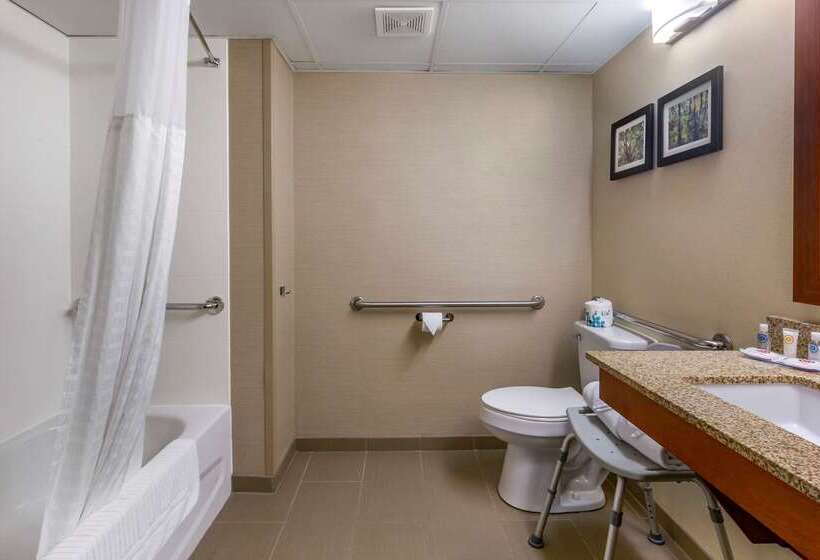 فندق Comfort Inn & Suites Near Danville Mall
