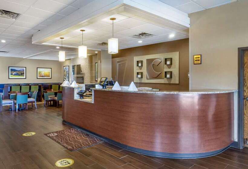 فندق Comfort Inn & Suites Near Danville Mall