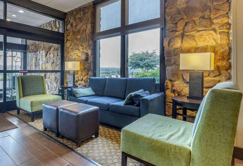 فندق Comfort Inn & Suites Near Danville Mall