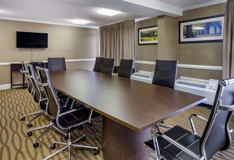 فندق Comfort Inn & Suites Near Danville Mall