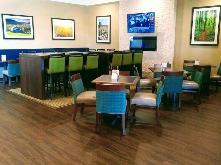 酒店 Comfort Inn & Suites Near Danville Mall