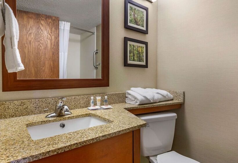 酒店 Comfort Inn & Suites Near Danville Mall