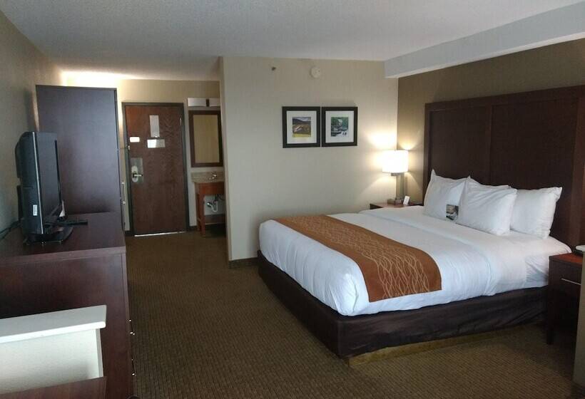 فندق Comfort Inn & Suites Near Danville Mall
