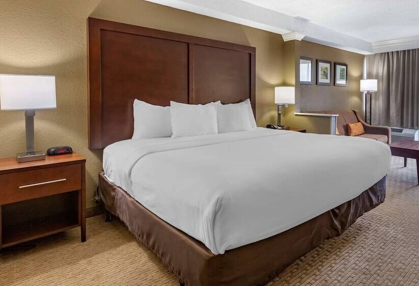 فندق Comfort Inn & Suites Near Danville Mall