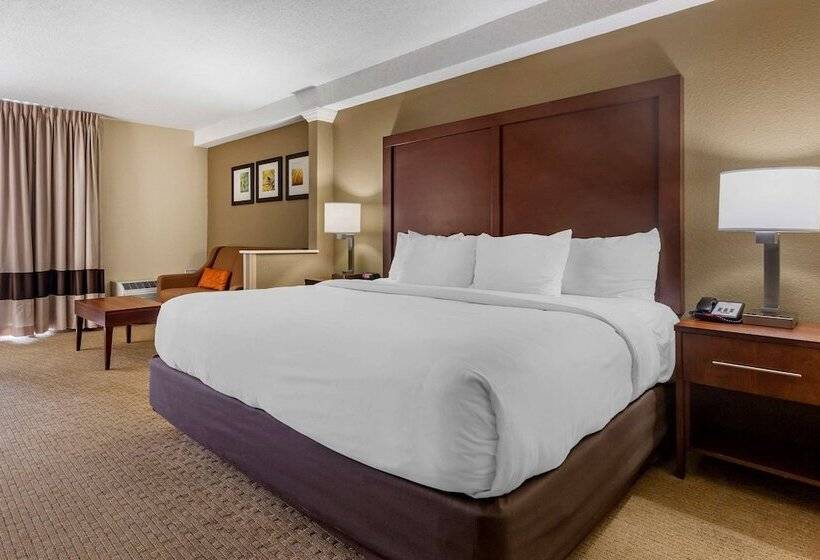 酒店 Comfort Inn & Suites Near Danville Mall