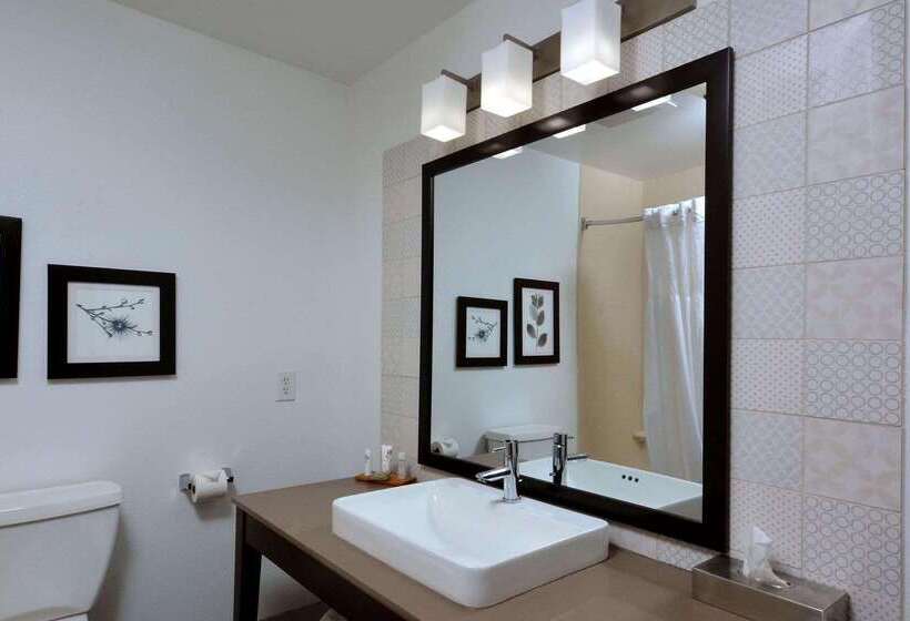 酒店 Country Inn & Suites By Radisson, Asheville West Near Biltmore