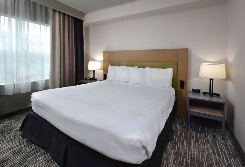 酒店 Country Inn & Suites By Radisson, Asheville West Near Biltmore
