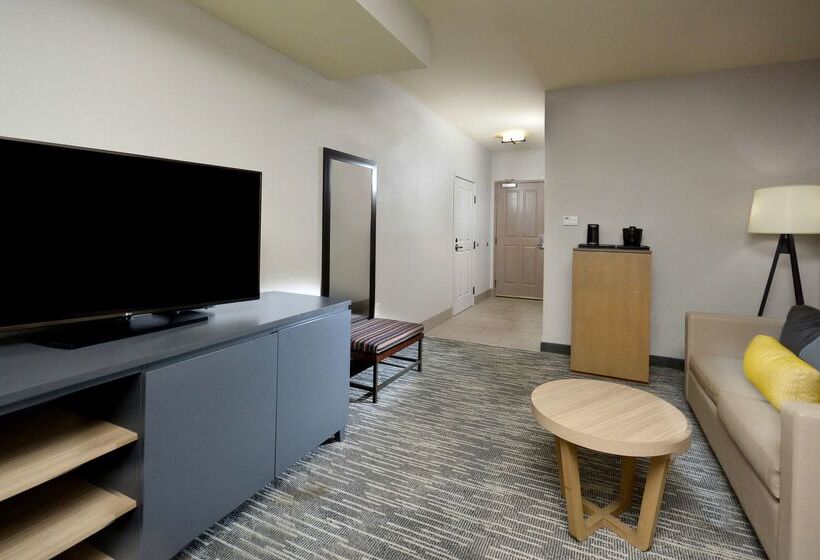 酒店 Country Inn & Suites By Radisson, Asheville West Near Biltmore