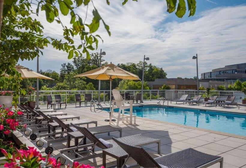 ホテル Courtyard By Marriott Bethesda Chevy Chase