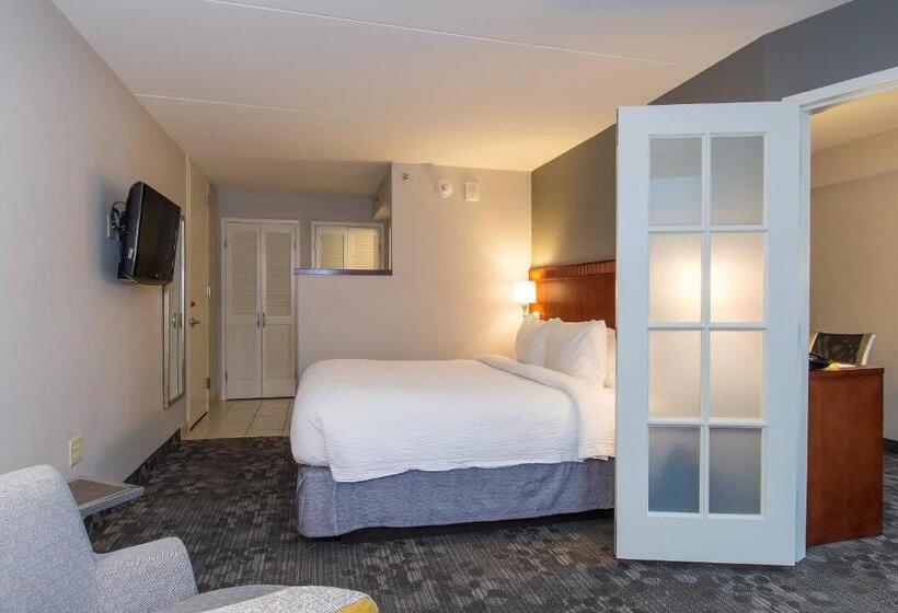 ホテル Courtyard Columbia Downtown At Usc