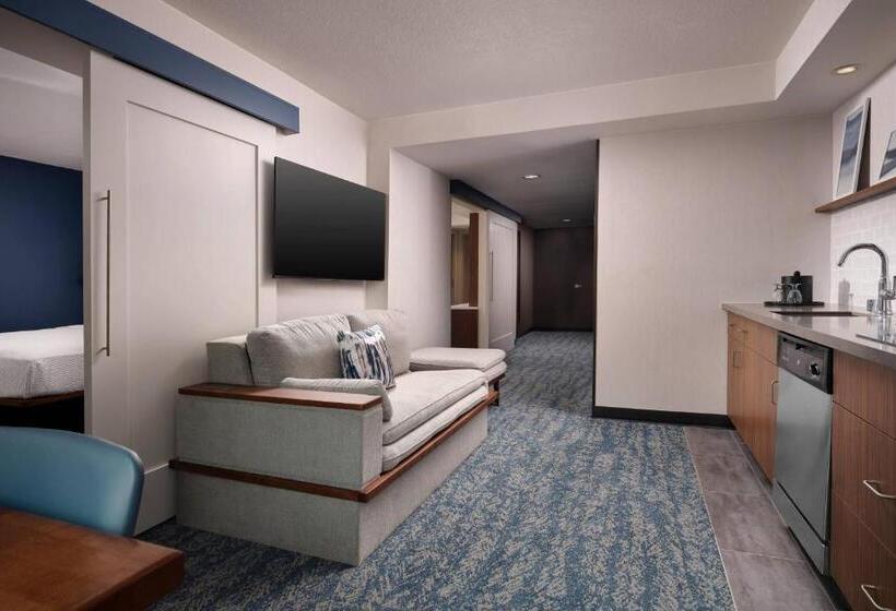 Courtyard By Marriott San Diego Mission Valley/hotel Circle