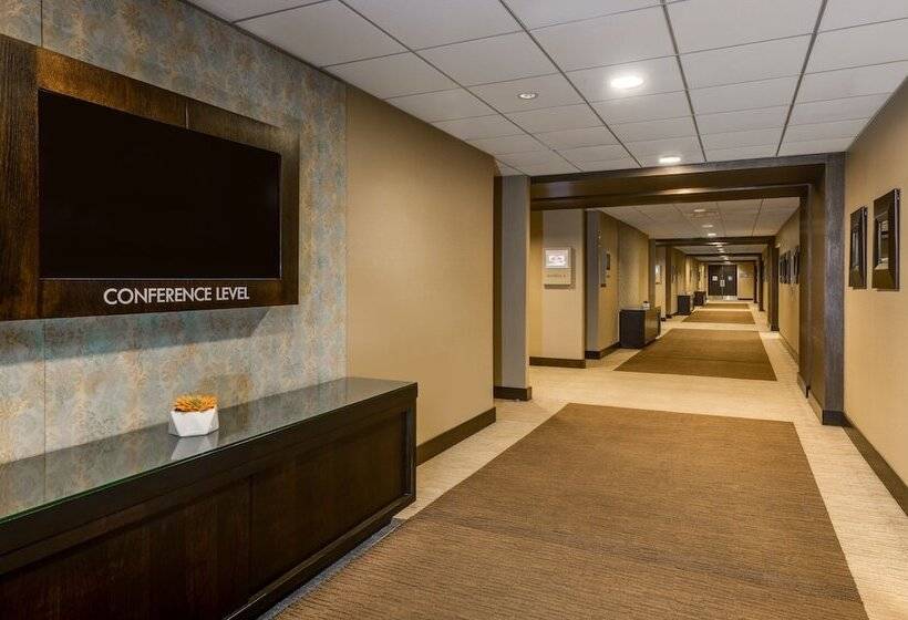 Crowne Plaza Chicago O Hare Hotel & Conference Center, An Ihg