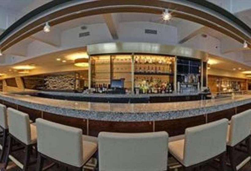 Crowne Plaza Chicago O Hare Hotel & Conference Center, An Ihg