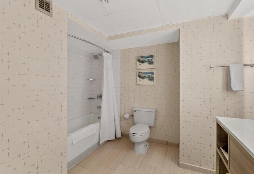 Отель Crowne Plaza Houston Med Ctr Galleria Area, An Ihg