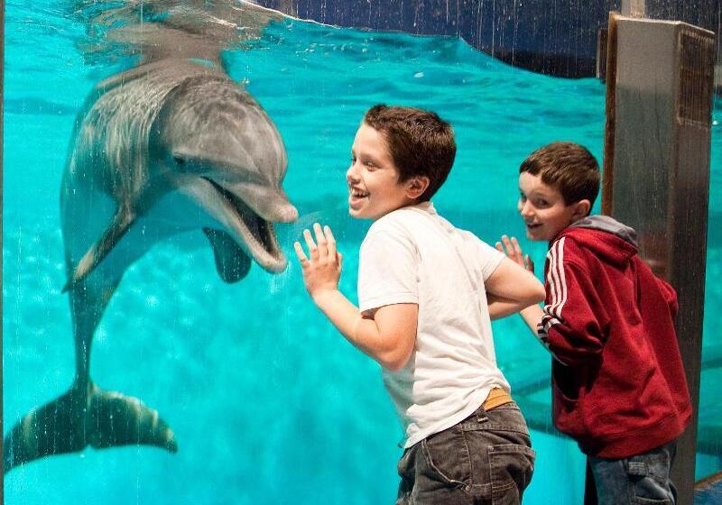 בית מלון כפרי Crowne Plaza Indianapolis Dwtn Union Stn, An Ihg