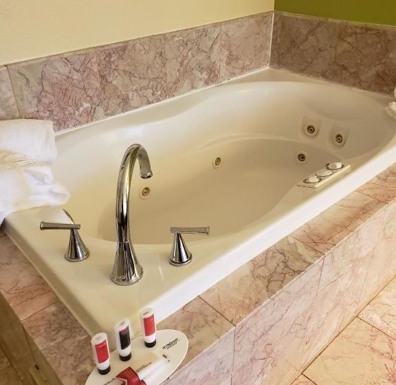 호텔 Days Inn By Wyndham Asheville/mall