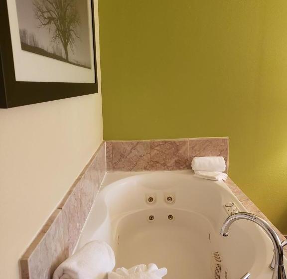 호텔 Days Inn By Wyndham Asheville/mall