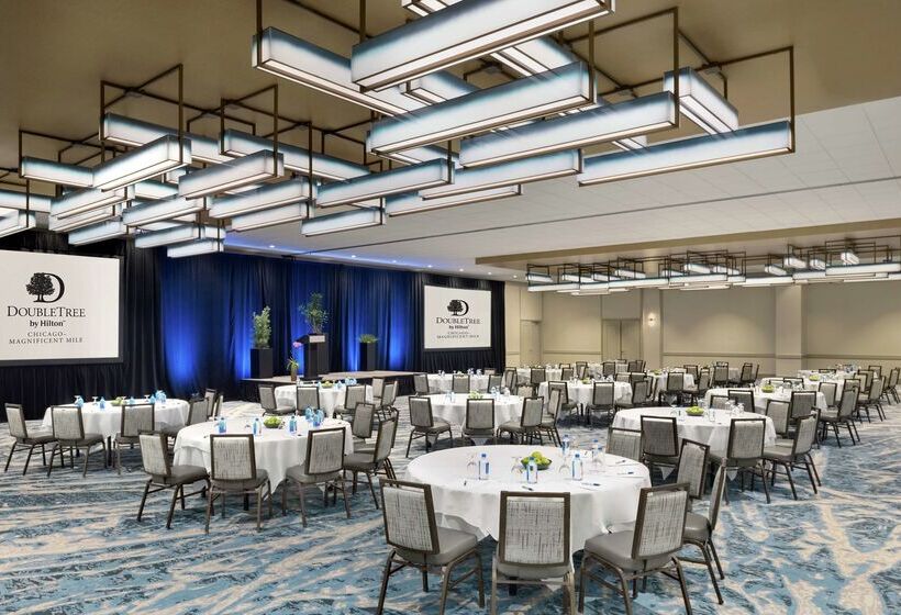 酒店 Doubletree By Hilton Chicago Magnificent Mile