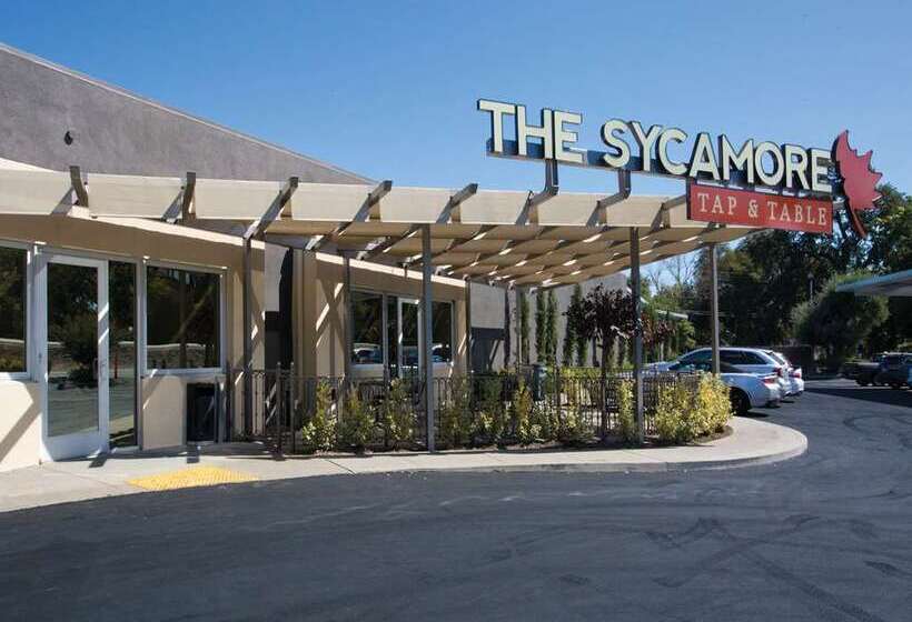 فندق Doubletree By Hilton Chico