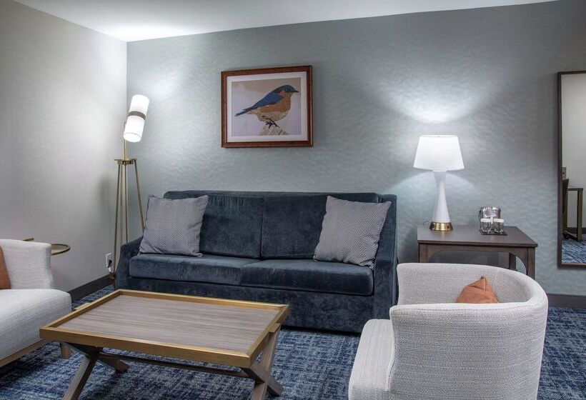 فندق Doubletree By Hilton Hot Springs