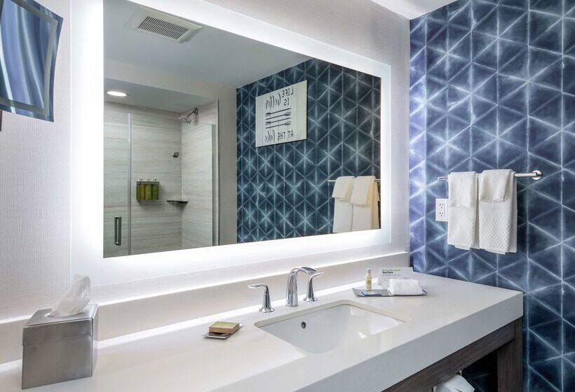 فندق Doubletree By Hilton Hot Springs