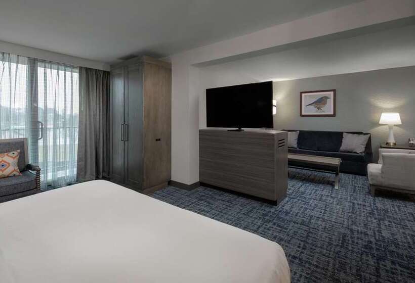 فندق Doubletree By Hilton Hot Springs