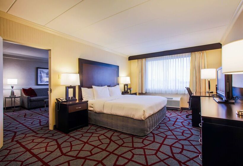 호텔 Doubletree By Hilton Chicago Alsip