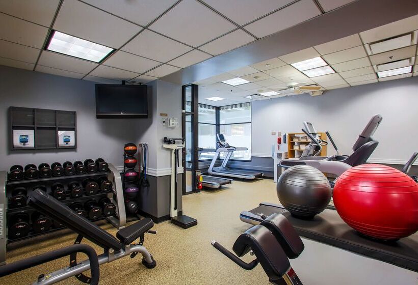 호텔 Doubletree By Hilton Chicago Alsip