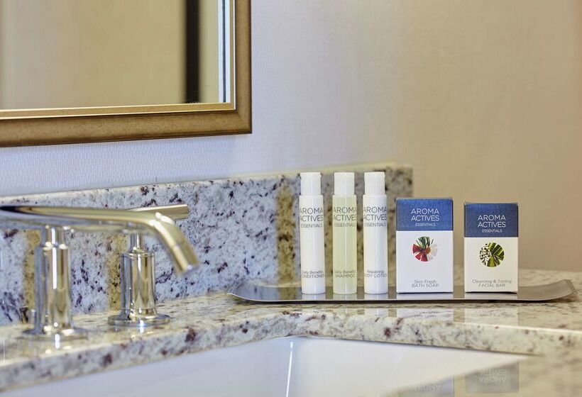 酒店 Doubletree By Hilton Washington Dc   Crystal City