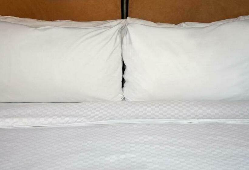 酒店 Four Points By Sheraton Phoenix North