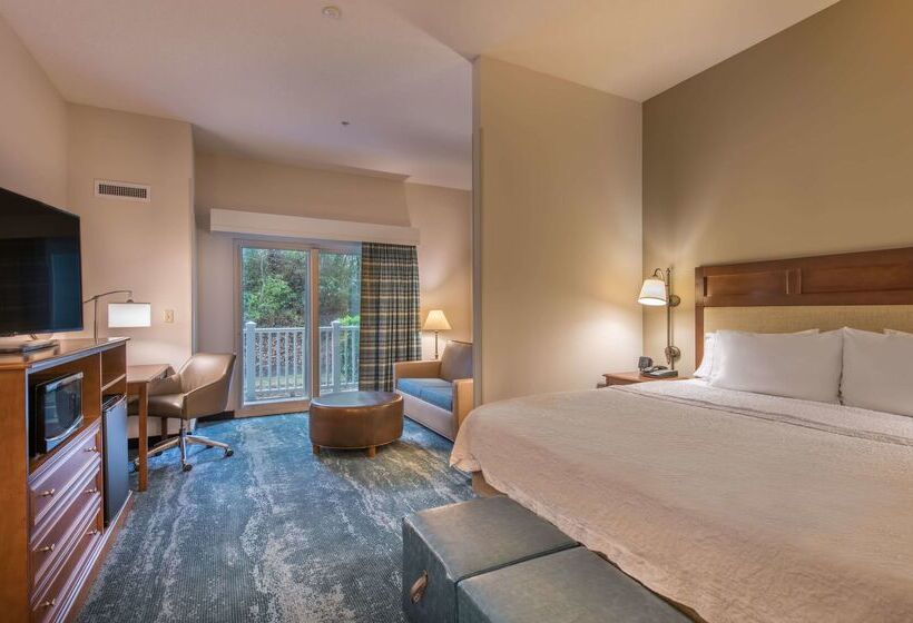 בית מלון כפרי Hampton Inn & Suites Jekyll Island