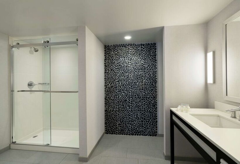 فندق Hilton Garden Inn  Springfield