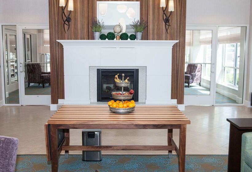 فندق Hilton Garden Inn  Springfield